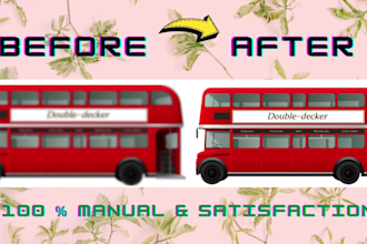 do vector art, convert logo, vector tracing manually