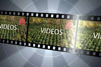create professional video, script, voice and music