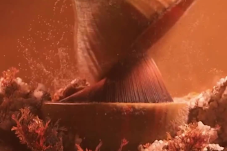 do 3d flower animation 3d plat animation 3d flower model 3d plant model flower