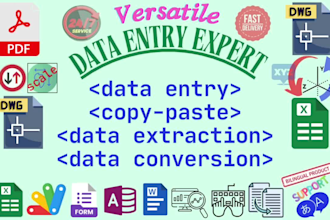 do data entry, copy paste, data extraction and transformation