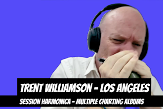 play harmonica on your track pro los angeles session player