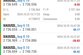 code mql4, mql5 to pinescript tradingview, ninjascript,forex trading bot mt4 mt5