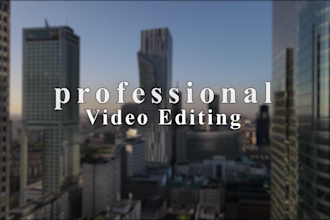 be your professional youtube vlog video editor