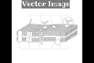design 2d line art illustrations of science diagrams