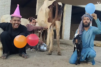 wish funny african happy birthday video with funny dance