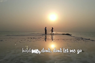 create an animated lyric video for you within few hours