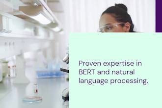 do bert tasks like ai chatbot, sentiment analysis, text summarization