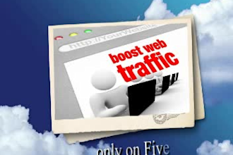 increase website traffic by sending 10,000 unique visitors