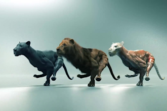 create realistic 3d animal model 3d animal animation vfx cgi xgen hair fur film