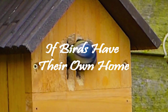 create real estate videos for agent promotion