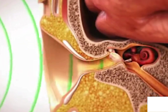 2d 3d medical animation anatomy scientific biomedical animation explainer video