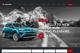 develop highend automobile website or car dealership website for your brand