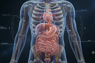 create 3d anatomy animation, ai medical animation and medical explainer video