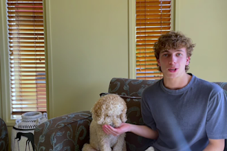 create dog ugc video with me and my dog for your pet brand