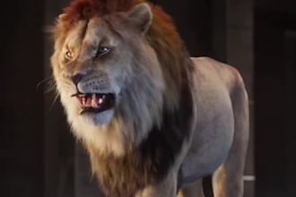 integrate 3d animal animation 3d animal rigging 3d animal model, cgi, vfx 3d art
