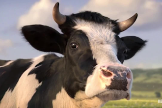 do 3d animal model,3d creature with xgen hair, realistic fur,3d animal animation