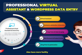 be your virtual assistant VA for data entry wordpress, product list, blog post