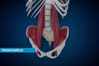 do 3d medical animation, 3d dental animation, 3d surgery animation