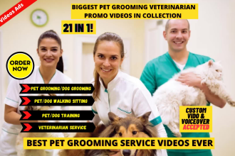 do pet grooming or pet sitting walking 2d animated video