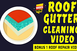 do roof gutter cleaning repair or dead wall roof damage video ad
