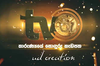 design 3d logo animation and professional graphic designer