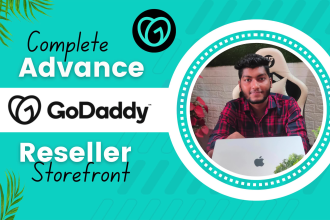 design a stunning godaddy reseller storefront