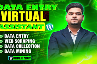 do data entry, manual lead list, data scarping, data collection