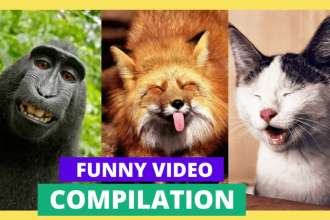 create amazing compilation video for youtube