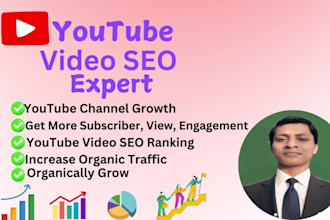 do professional youtube video SEO to boost views, engagement and organic ranking