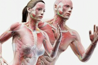 do 2d and 3d medical animation 3d medical illustration 3d product animation