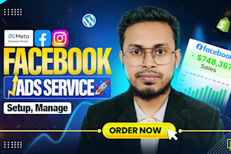 run profitable facebook ads campaign, instagram ads, meta ads for lead and sales