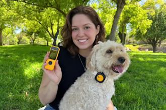 create dog or cat ugc videos for your pet product and services