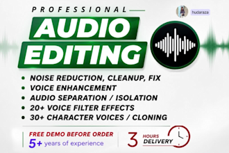 do audio cleanup, vocal isolation, voice filters and cloning