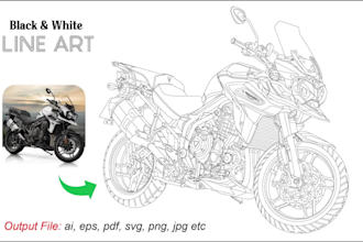 create vector art line drawing or black and white quickly