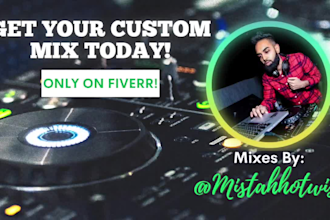 create a professional dj mix for you