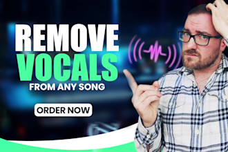 remove vocals from any song for high quality instrumental
