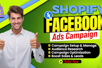 run facebook ads campaign, advertising, shopify fb and instagram ad manager