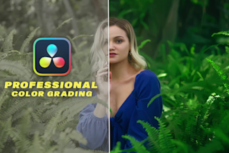 color grade and color correct your video as a pro colorist