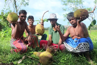 make natural village cooking video for your youtube
