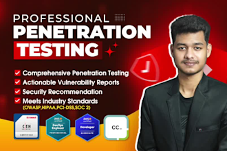 perform professional penetration testing with detailed vulnerability reports