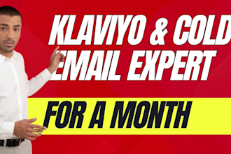 be your klaviyo or cold email expert for a month