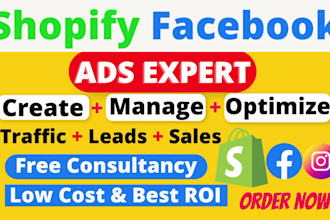 do shopify facebook ads instagram campaign expert meta dropshipping ads manager