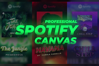 create a professional spotify canvas with your artwork