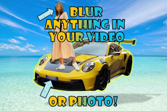 blur,censor license plate,face,logo,object,text in videos,photos,images