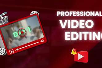 do professional youtube video editing