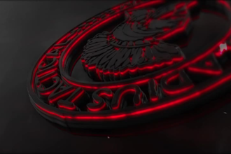 create a professional looking animation for your logo