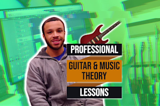 give professional guitar and music theory lessons online