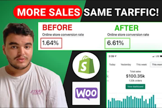 professionally review and audit your shopify store cro