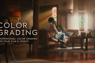 do professional color grading and color correction