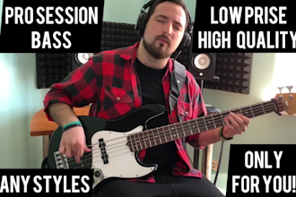be pro bass player to play amazing bass solo for your song